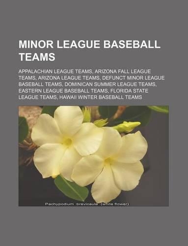 Minor League Baseball Teams