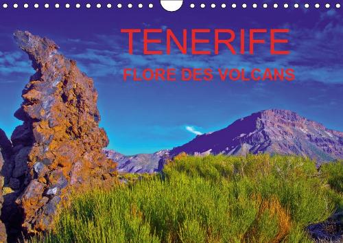 TENERIFE FLORE DES VOLCANS 2019: Des champs de lave bariolés de flore endémique créant la surprise dans un désert bien peu austère.(Calvendo Nature)