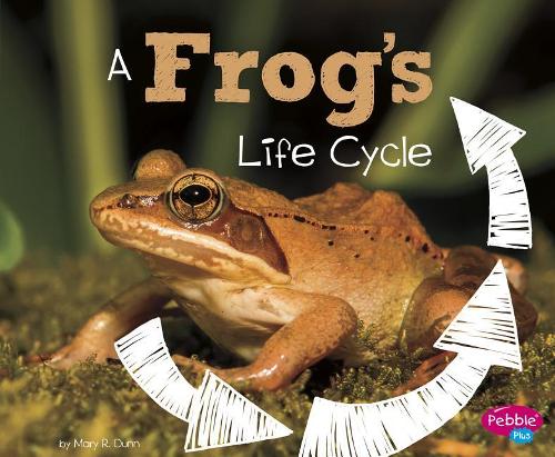 Frog's Life Cycle: (Explore Life Cycles)