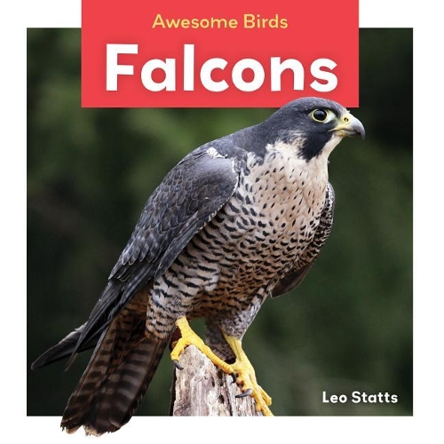 Falcons: (Awesome Birds)