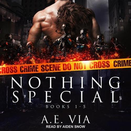 Nothing Special Series Box Set Lib/E