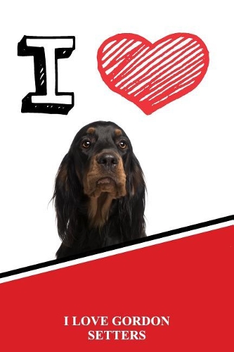 Gordon Setters: Blood Sugar Diet Diary Journal Log Featuring 120 Pages 6x9