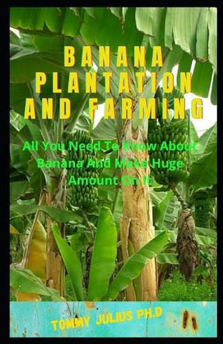 Banana Plantation and Farming