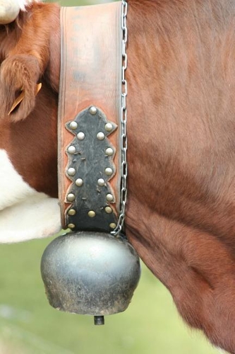 Close-Up of a Cow Bell on a Cow Journal