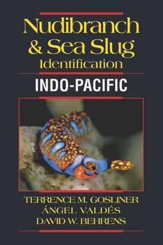 Nudibranch & Sea Slug Identification -- Indo-Pacific