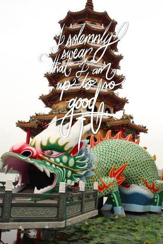 I solemnly swear that I am up to no good