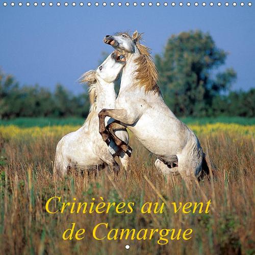 Crinières au vent de Camargue 2019