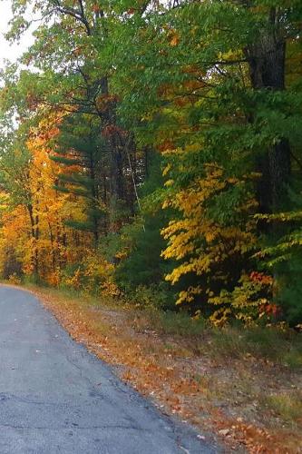 Journal Winding Country Road Distance