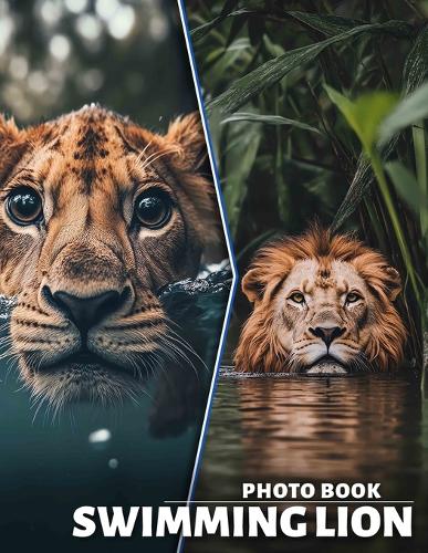 Swimming Lion Photo Book
