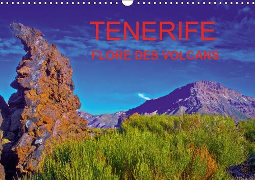 TENERIFE FLORE DES VOLCANS 2019