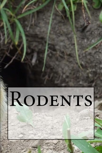 Rodents