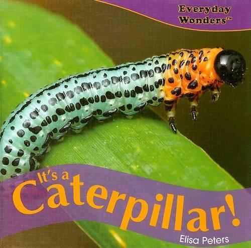 It's a Caterpillar!: (Everyday Wonders)