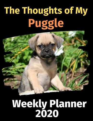 The Thoughts of My Puggle