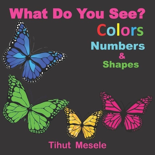 What Do You See?: Colors, Numbers, and Shapes