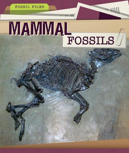 Mammal Fossils: (Fossil Files)