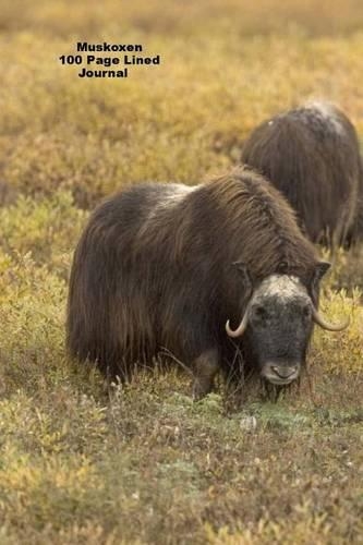 Muskoxen 100 Page Lined Journal