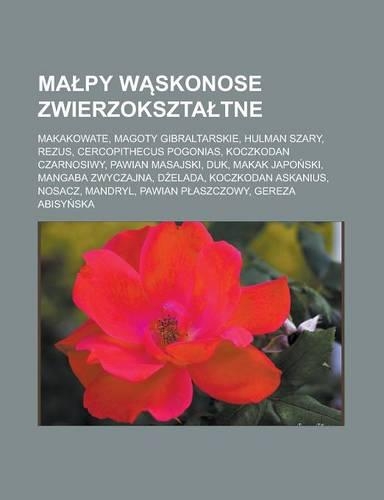 Ma Py W Skonose Zwierzokszta Tne: Makakowate, Magoty Gibraltarskie, Hulman Szary, Rezus, Cercopithecus Pogonias, Koczkodan Czarnosiwy, Pawian Masajski, Duk, Makak Japo Ski, Mangaba Z(Polish)