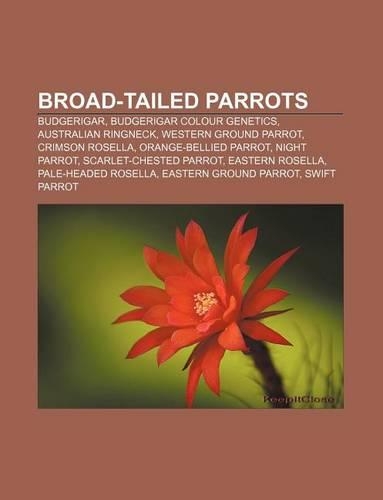 Broad-Tailed Parrots