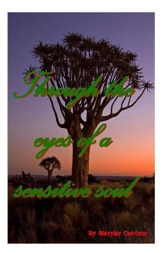 Through the Eyes of a Sensitive Soul