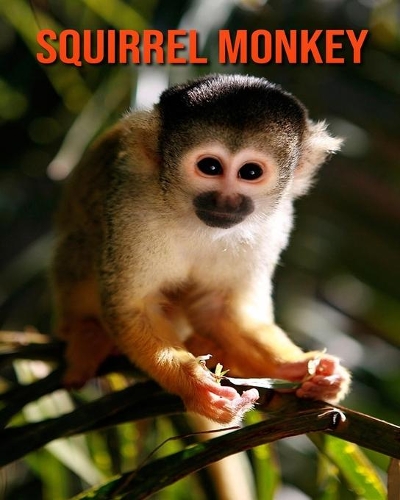 Squirrel Monkey: Fun Facts & Cool Pictures