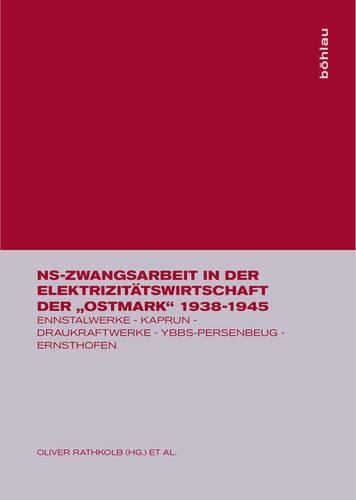 Ns-Zwangsarbeit in Der ElektrizitÃ¤tswirtschaft Der 