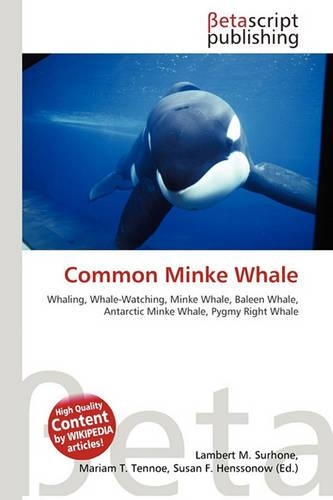 Common Minke Whale