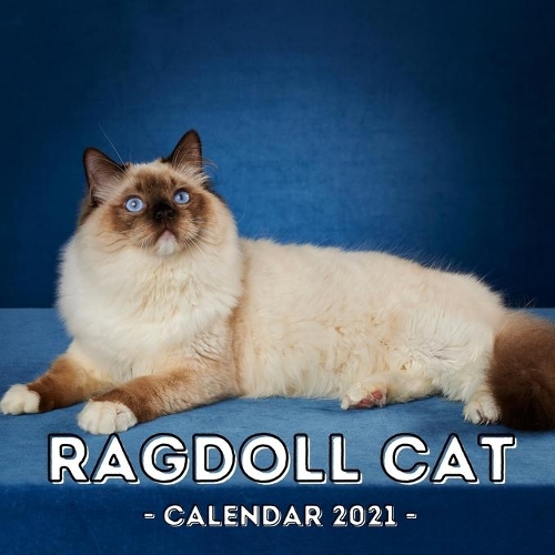 Ragdoll Cat: 2021 Wall Calendar, Cute Gift Idea For Ragdoll Lovers Or Owners Men And Women