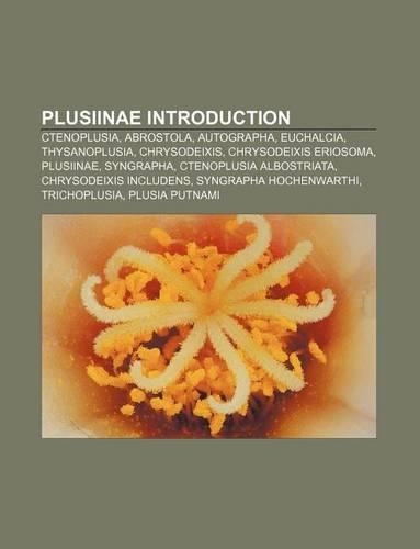 Plusiinae Introduction