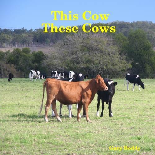 This Cow These Cows