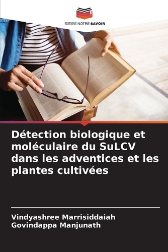 Détection biologique et moléculaire du SuLCV dans les adventices et les plantes cultivées