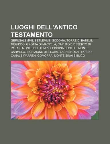 Luoghi Dell'antico Testamento: Gerusalemme, Betlemme, Sodoma, Torre Di Babele, Megiddo, Grotta Di Macpela, Caphtor, Deserto Di Paran(Italian)