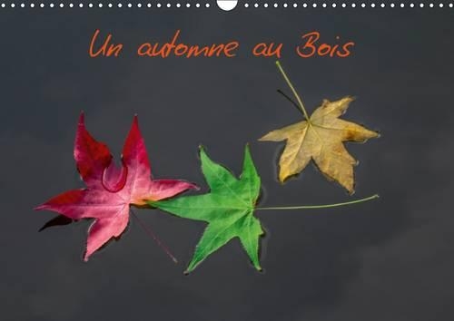 Un Automne Au Bois 2017: Un Automne Dans Le Bois De Boulogne.(Calvendo Places)