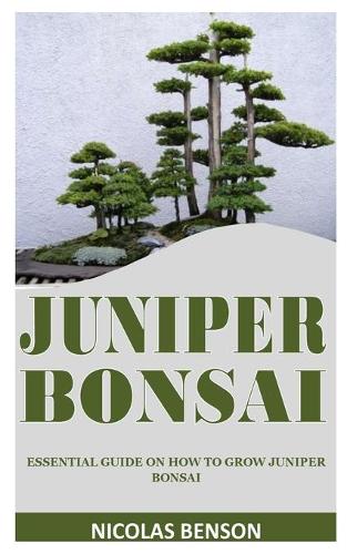 Juniper Bonsai: Essential Guide on How to Grow Juniper Bonsai