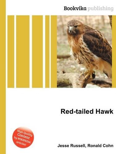 Red-Tailed Hawk