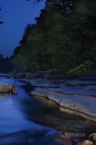 Journal Pages - Big Bear Lake (Bullet Journal)