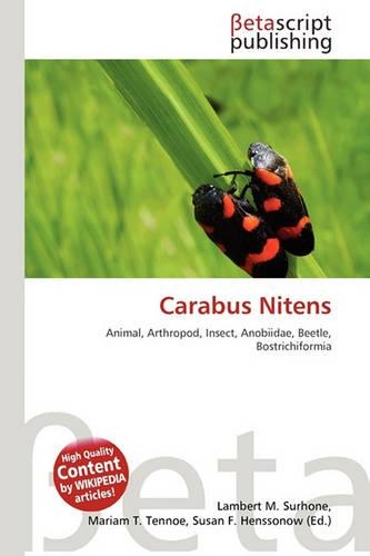Carabus Nitens