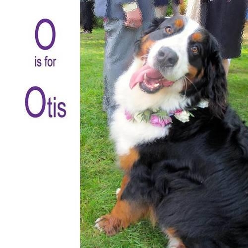 O is for Otis: (English)