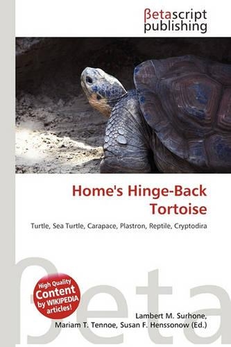 Home's Hinge-Back Tortoise