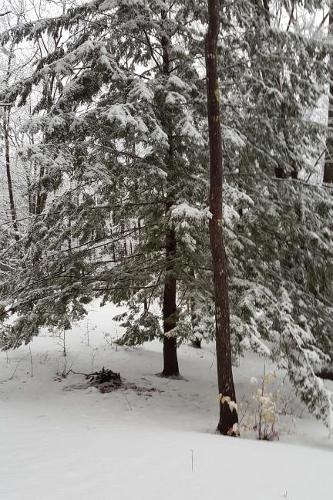 Beautiful Winter Picture Journal