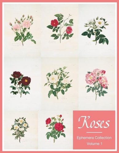 Roses: Ephemera Collection Colored Artwork Images Paper Prints For Homemade Card And Scrapbook Journal Collector Vintage Botanical Flower Art Cover(1 Volume 1)