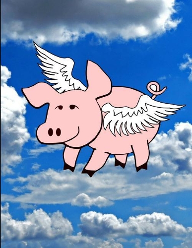 Flying Pink Pig In The Blue Sky Notebook Journal 150 Page College Ruled Pages 8.5 X 11
