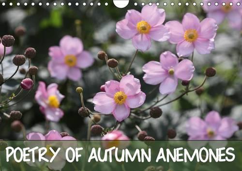Poetry of Autumn Anemones 2017: A Potpourri of the Delicate Late Summer Flower(Calvendo Nature)