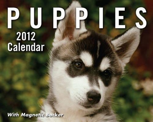 Puppies 2012 Mini Box Calendar