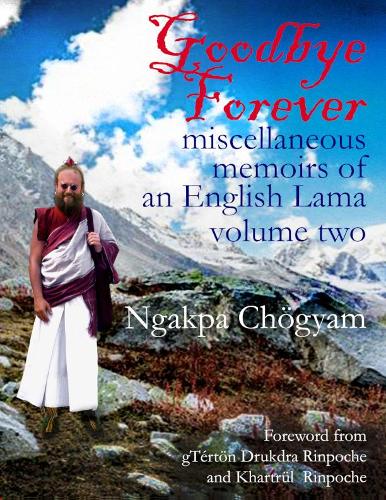 Goodbye Forever: (2 Goodbye Forever)