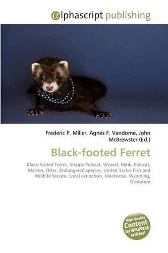 Black-Footed Ferret: (English)