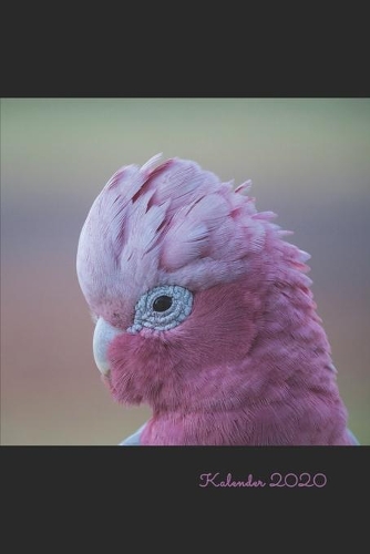 Rosakakadu: Jahresplaner / Terminplaner / Kalender 2020 Galah Kakadu - DIN A5 - Vogel Geschenke Vogelliebhaber