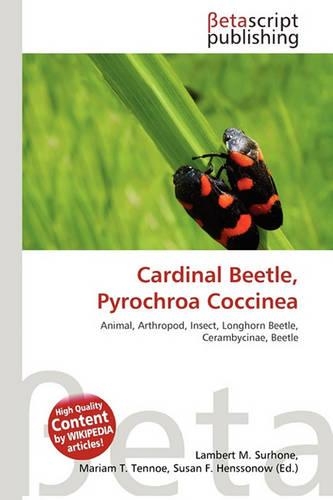 Cardinal Beetle, Pyrochroa Coccinea
