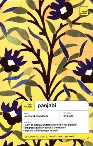 Teach Yourself Panjabi Complete Course
