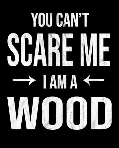 You Can't Scare Me I'm A Wood: Wood's Family Gift Idea