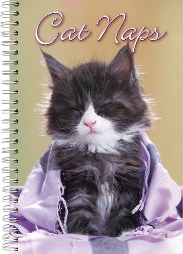 2021 Cat Naps 17-Month Weekly Planner